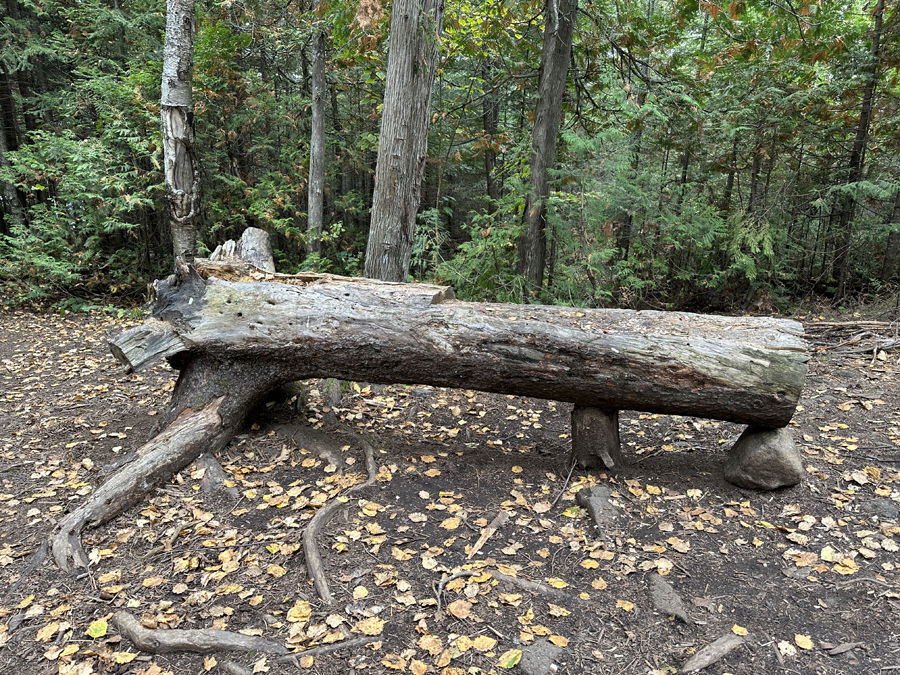 Crocodile Lake Campsite 5