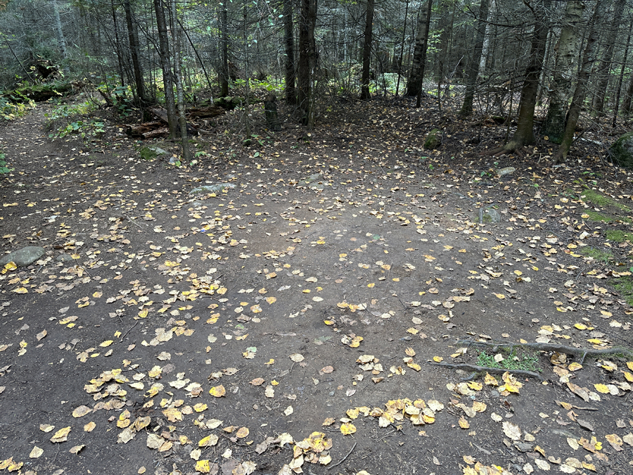 Crocodile Lake Campsite 7