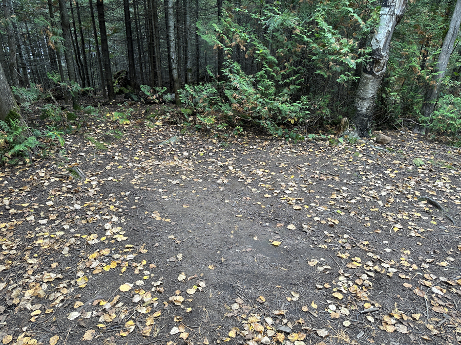 Crocodile Lake Campsite 8