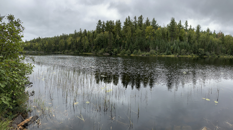 Crocodile Lake Campsite 8