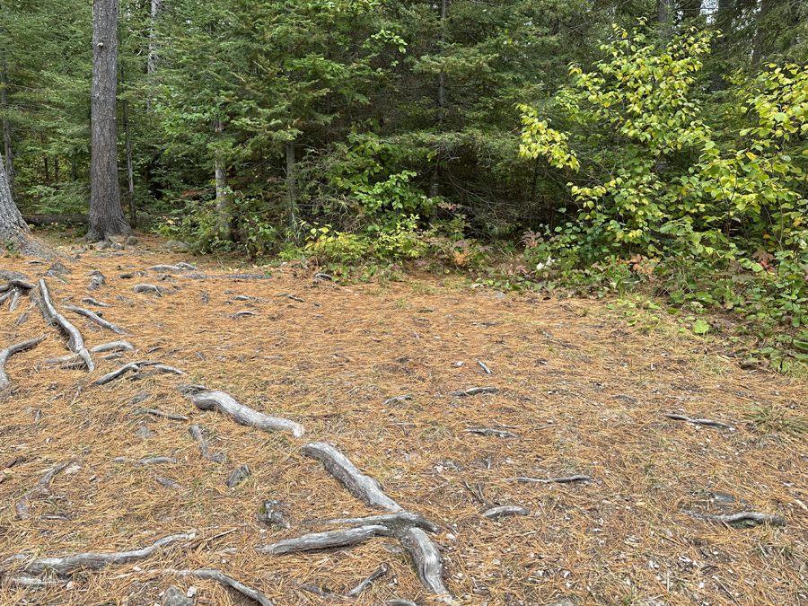 Crocodile Lake Campsite 4