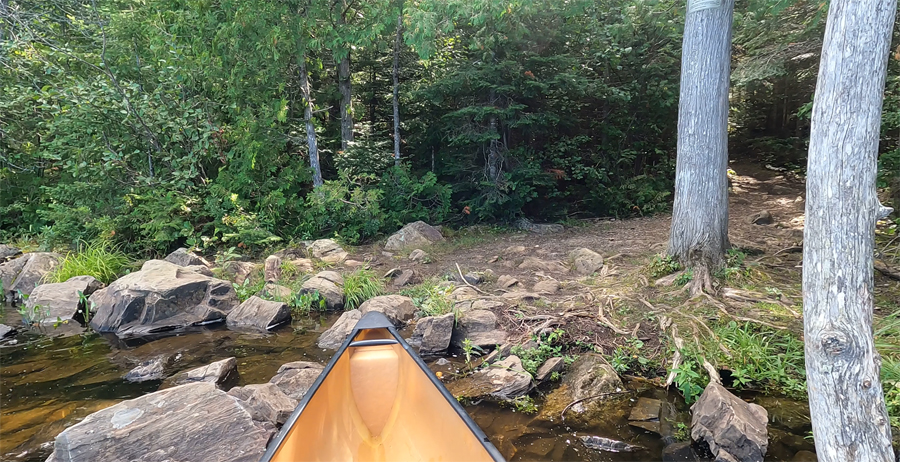 Crocodile Lake to East Bearskin Lake Portage 1