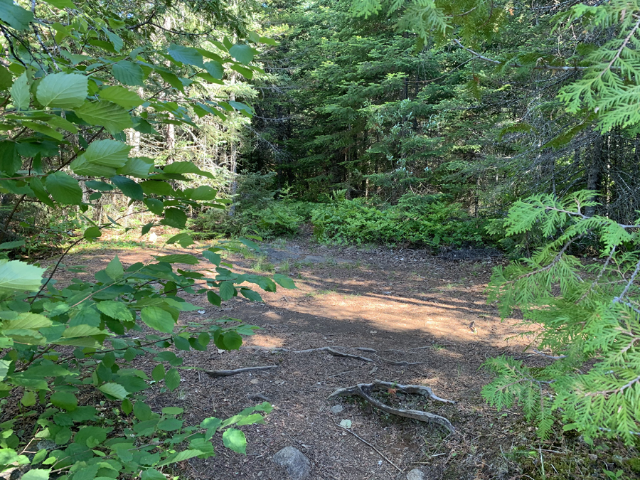 Crooked Lake Campsite 8