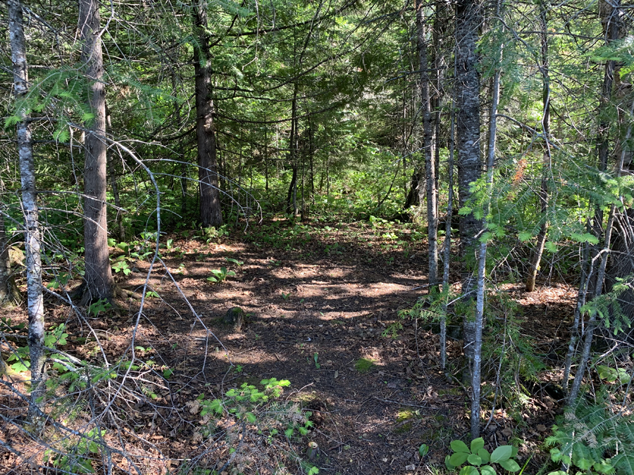 Crooked Lake Campsite 9