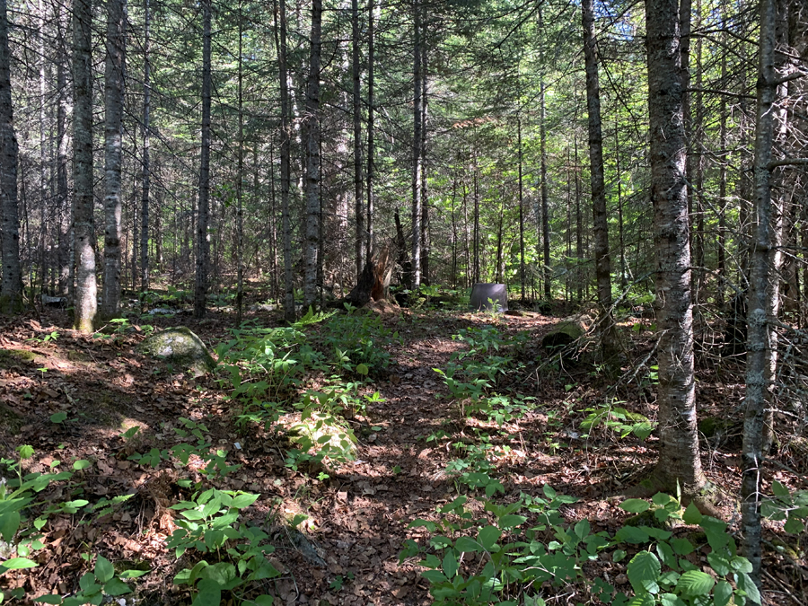 Crooked Lake Campsite 10