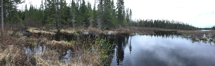 Cross Bay Lake to Snipe Lake Portage 4