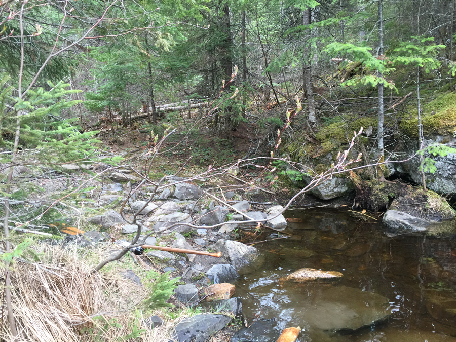 Cross Bay Lake to Snipe Lake Portage 3