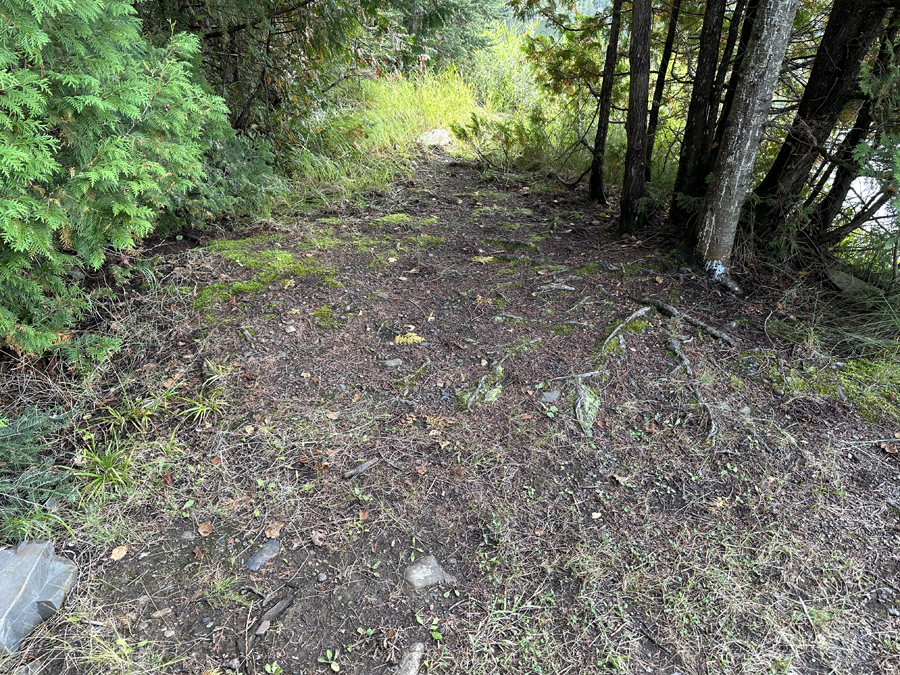 Deer Lake Campsite 4