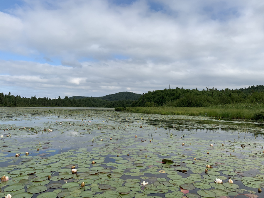 Dugout Lake 3