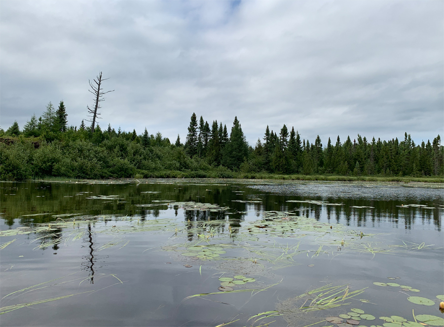 Dugout Lake 2