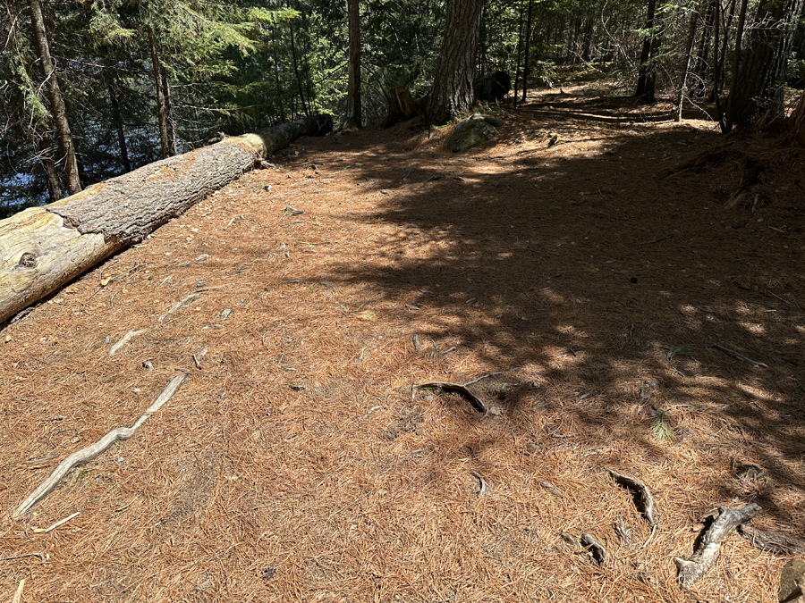 Duncan Lake Campsite 10