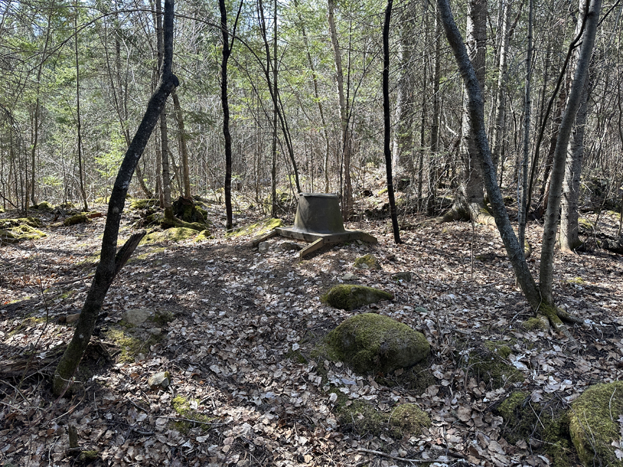 Duncan Lake Campsite 8