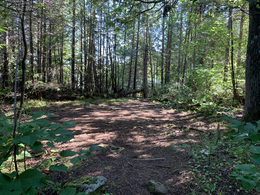 East Bearskin Lake Campsite 3