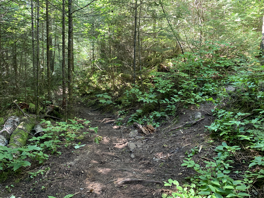 East Bearskin Lake Campsite 6