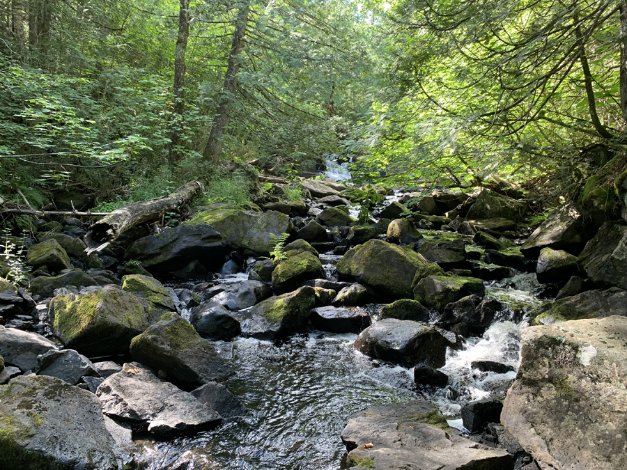 East Bearskin Lake Campsite 8