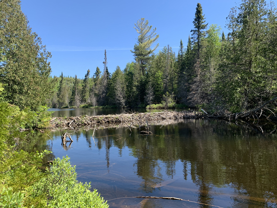 Fern Lake 1