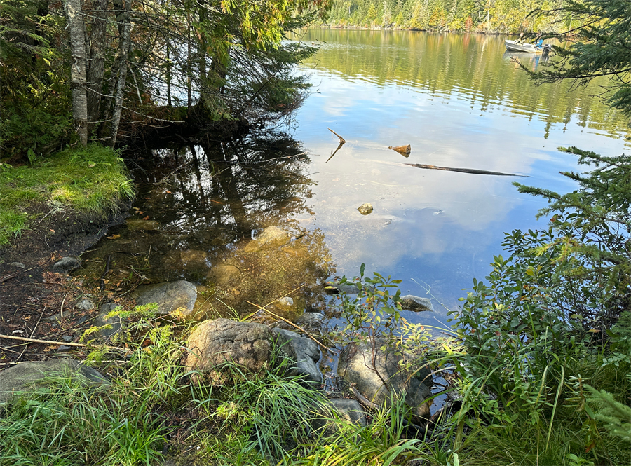 Flour Lake 1