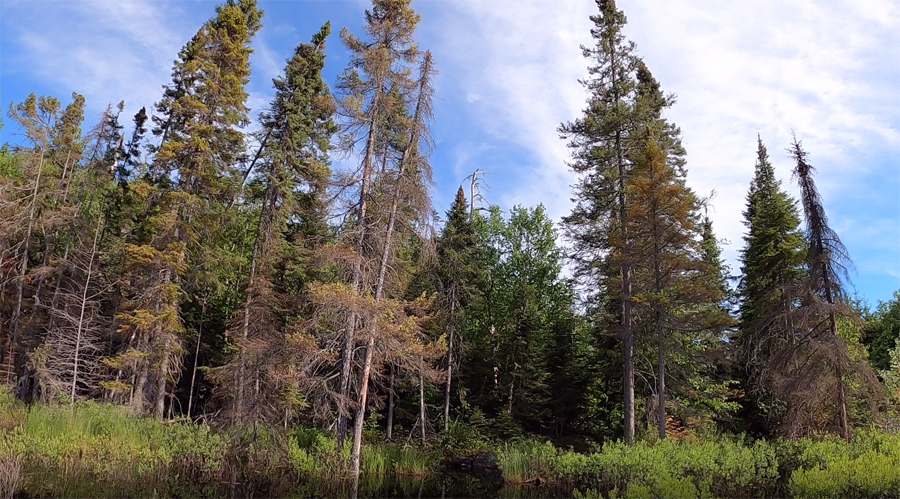 Chub River-Flying-Portage 1