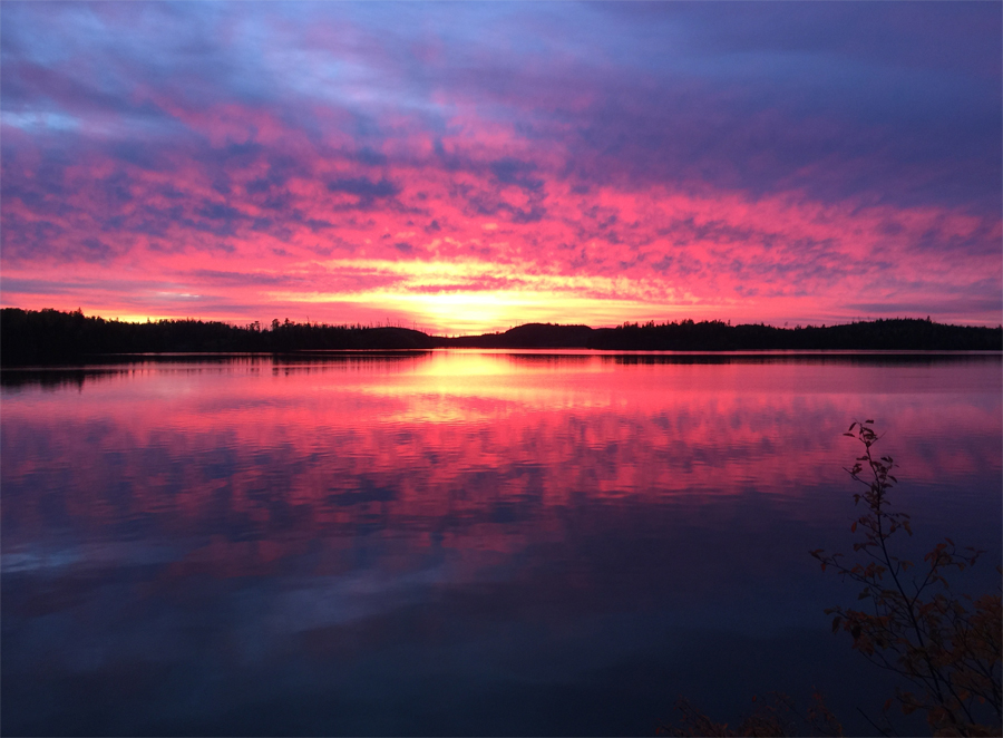 Gillis Lake Campsite 2