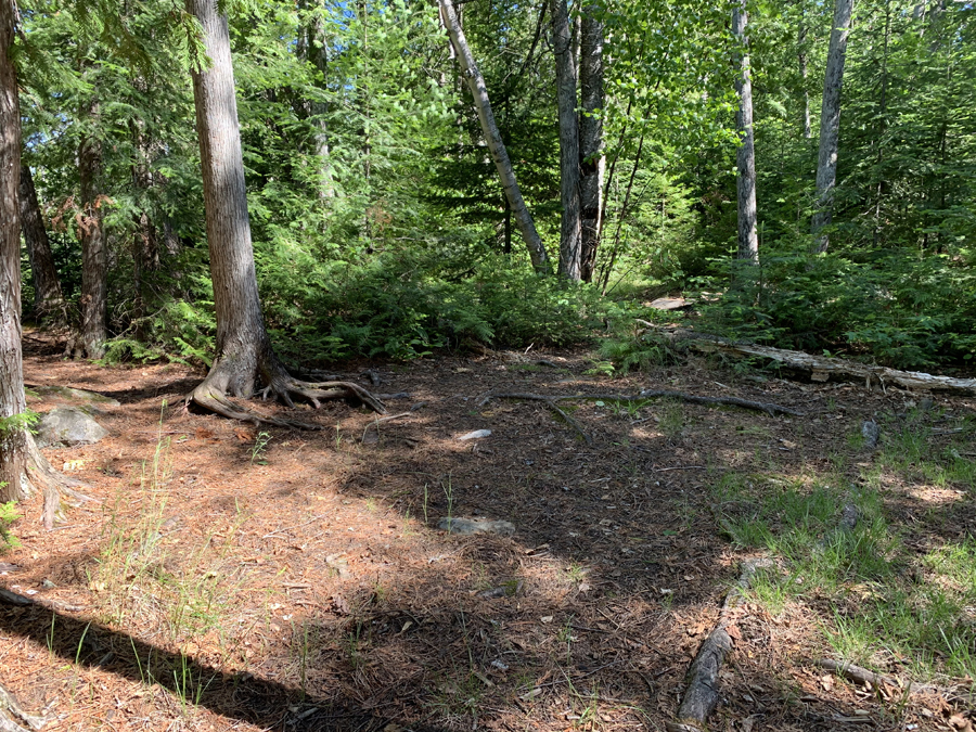 Gillis Lake Campsite 6