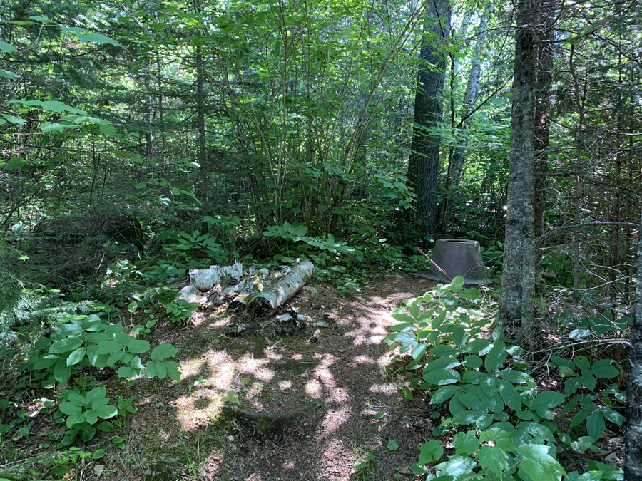 Gillis Lake Campsite 7