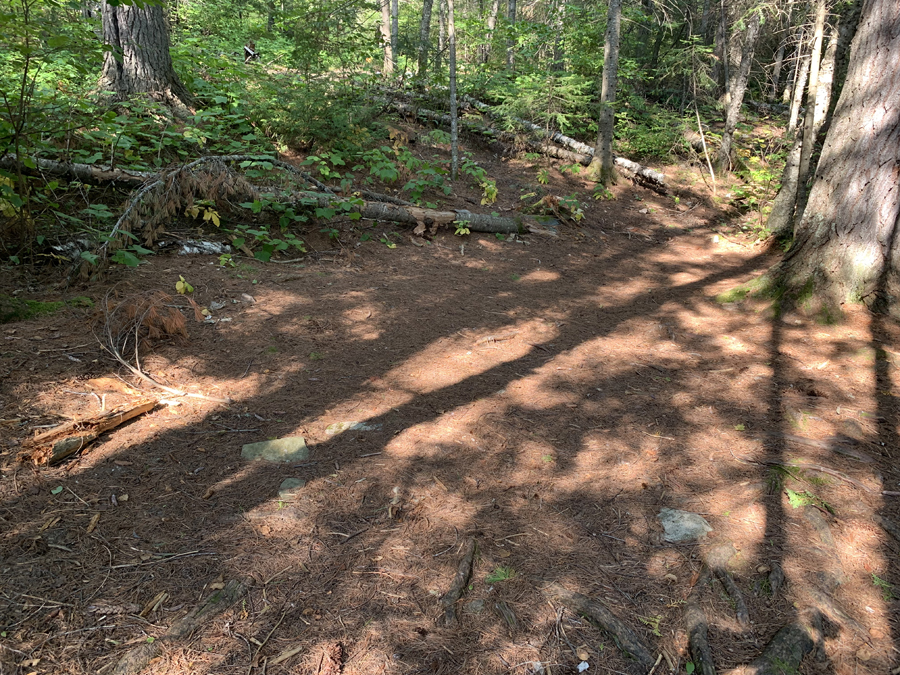 Gogebic Lake Campsite 5