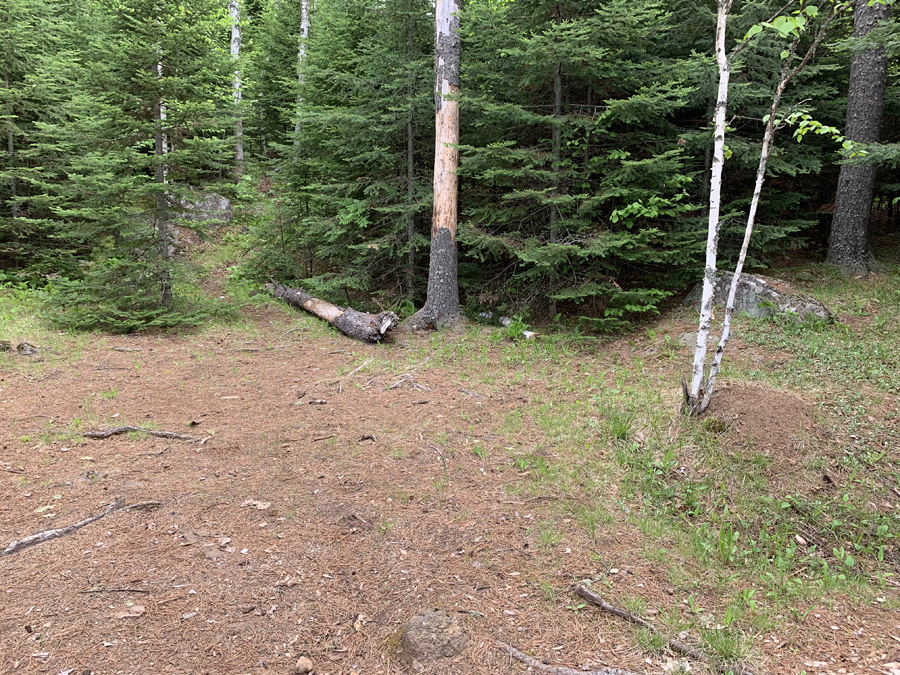 Gordon Lake Campsite 4