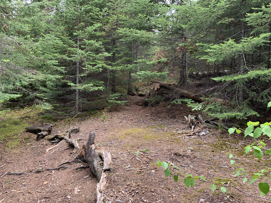 Gordon Lake Campsite 3