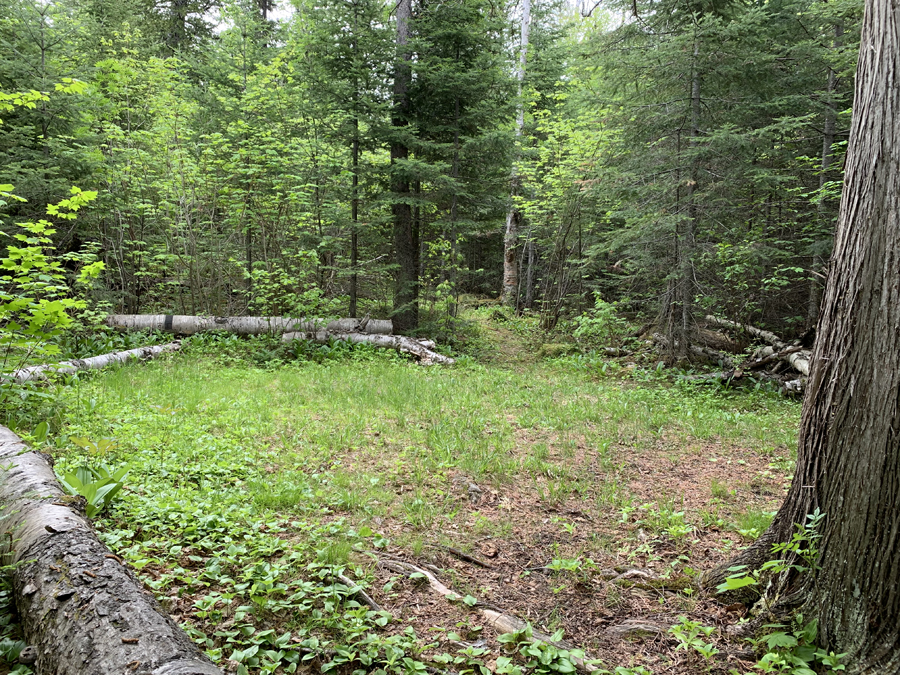 Gordon Lake Campsite 6