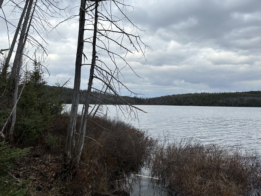 Honker Lake 1