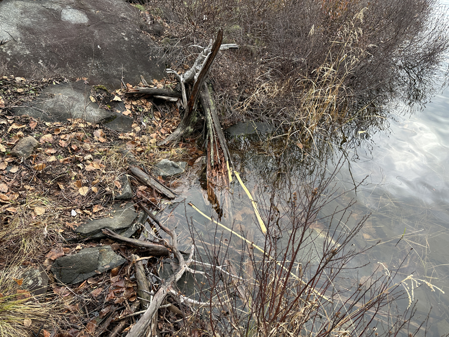 Bingshick Lake to Honker Lake Portage 1