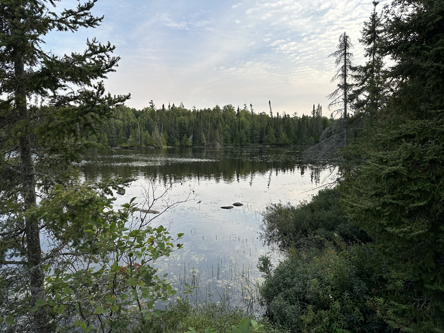 Horseshoe Lake Campsite 11