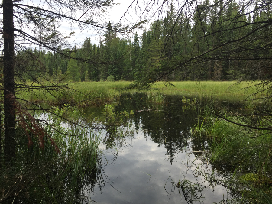 Howl Lake to Hubbub Lake Portage 5