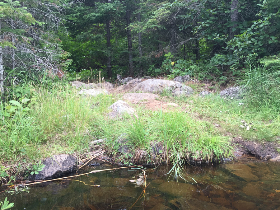 Copper-Hubbub-Portage 1