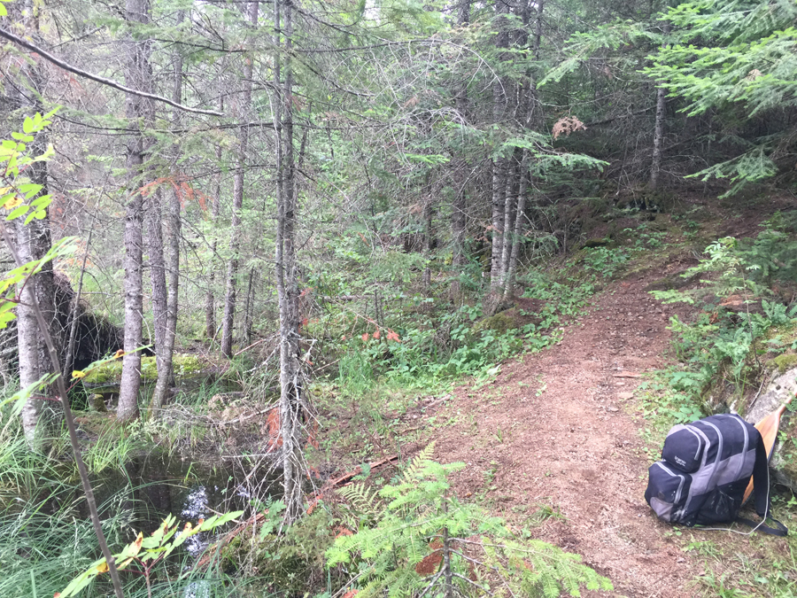 Howl Lake to Hubbub Lake Portage 1