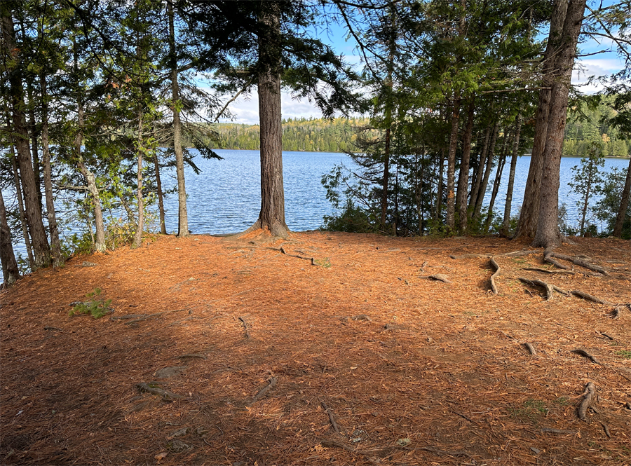 John Lake Campsite 5