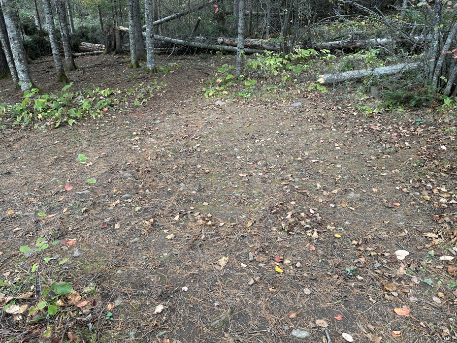 John Lake Campsite 4