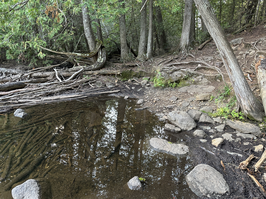 Allen Lake to Jump Lake Portage 3