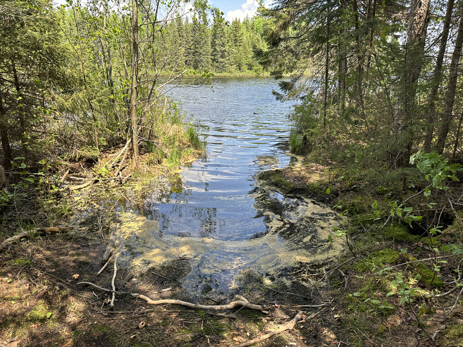 Skipper Lake to Little Rush Lake Portage 4