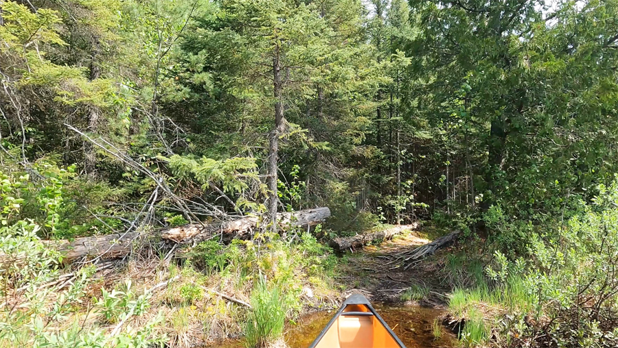 Little Rush Lake to Skipper Lake Portage 2