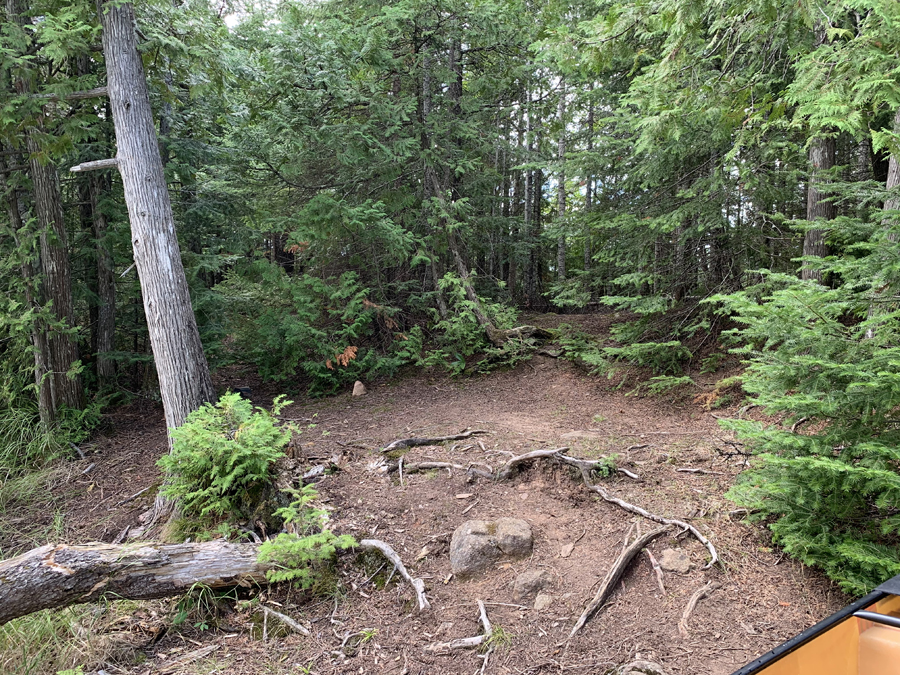 Little Trout Lake Campsite 6