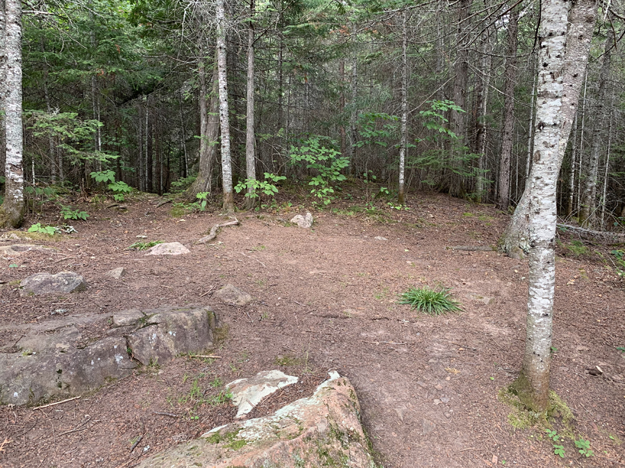 Little Trout Lake Campsite 7