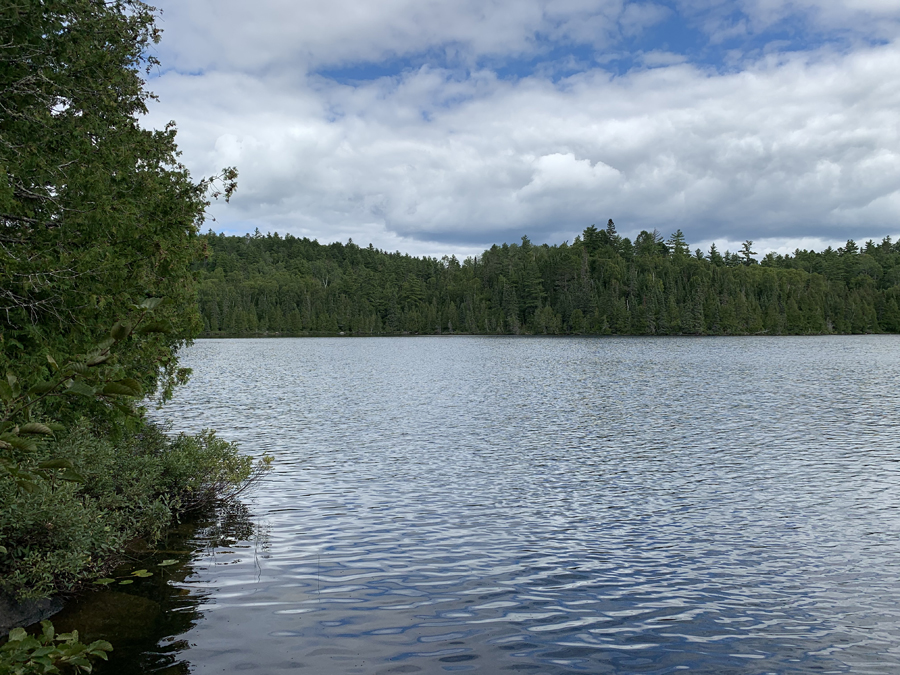 Little Trout Lake Campsite 11