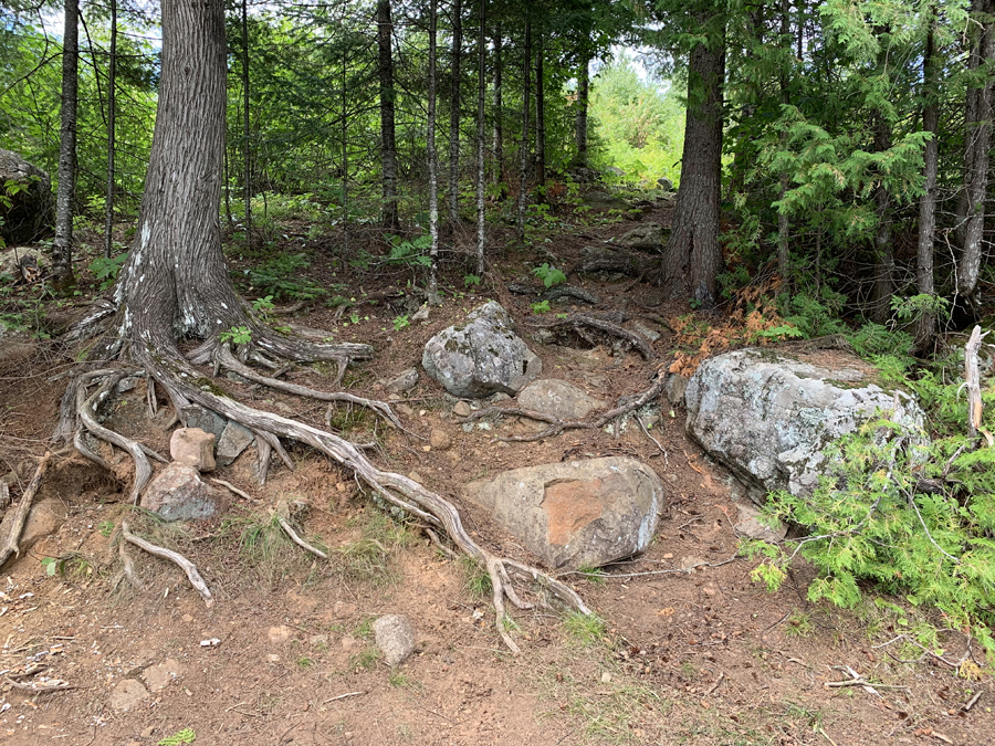 Little Trout Lake Campsite 5