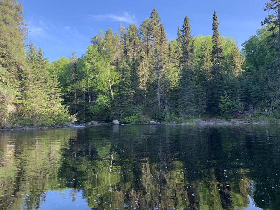 Lower George Lake 5