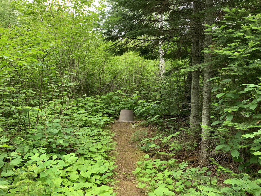 Lux Lake Campsite 8