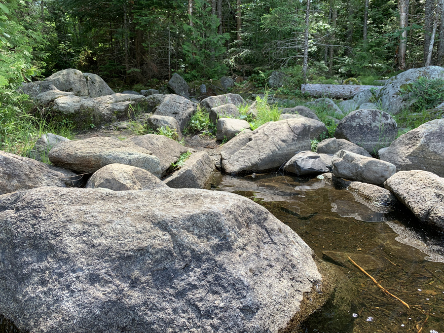 Meeds Lake to Poplar Lake Portage 1