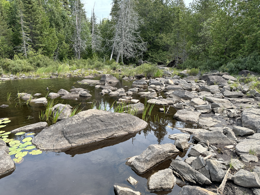 Meeds Lake to Caribou Lake Portage 4