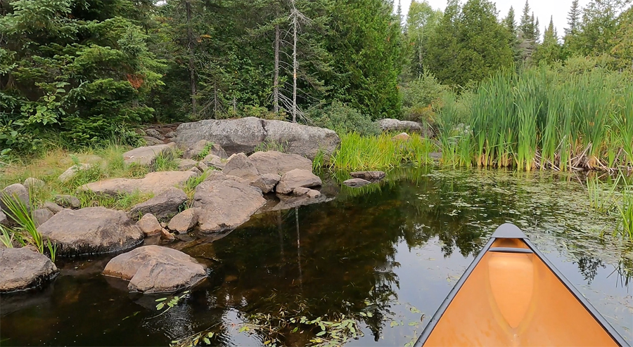 Meeds Lake to Caribou Lake Portage 2