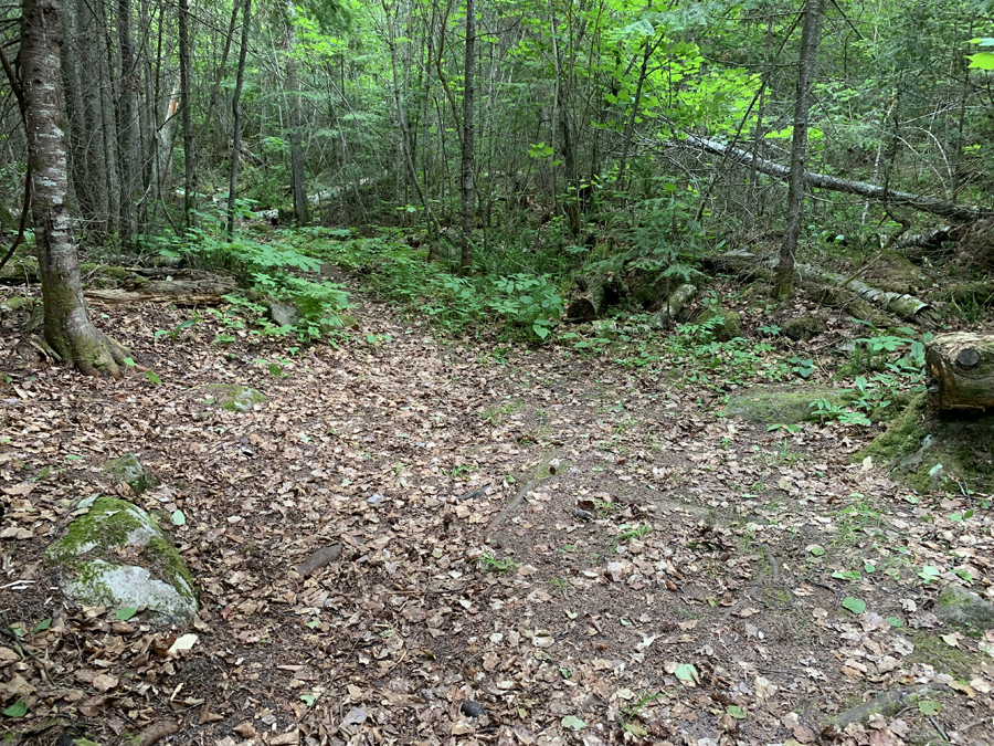 Misquah Lake Campsite 6